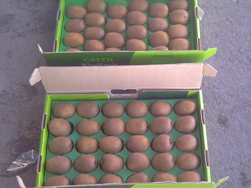 دایکات در کارتن سازی چیست