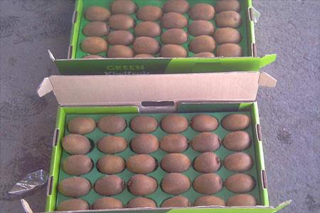 دایکات در کارتن سازی چیست